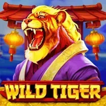 Login No Spins Royale Casino